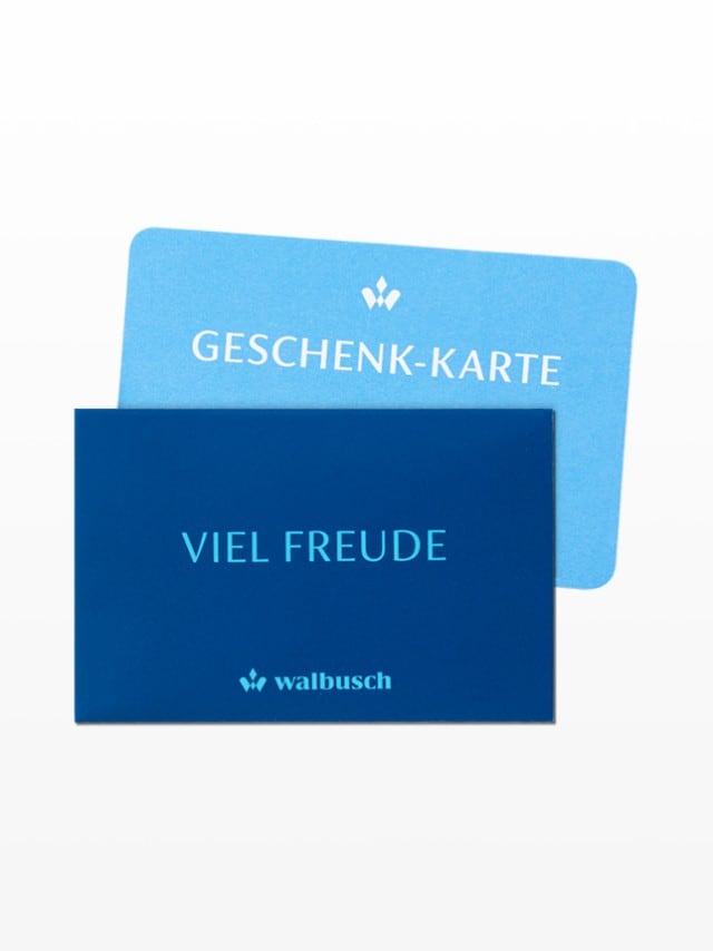 Zwei blaue Karten, eine mit der Aufschrift "GESCHENK-KARTE", die andere mit "VIEL FREUDE" und "walbusch" darunter.