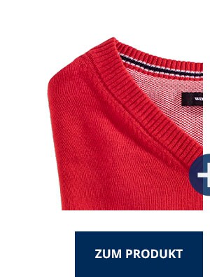 V-Pullover Soft Cotton | Walbusch