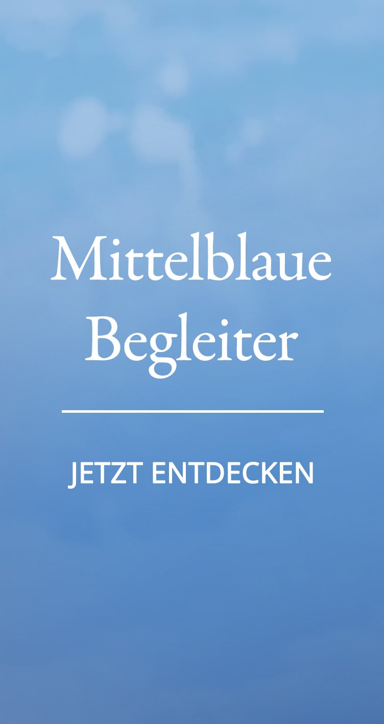 Mittelblau | Walbusch