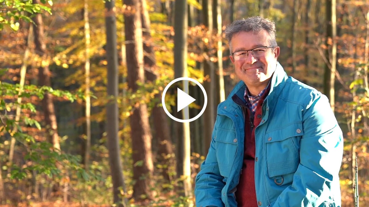 An Wochenenden oder in der Woche? An Wochenenden oder in der Woche?