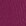 Fuchsia Fuchsia