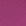 Fuchsia Fuchsia