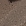 Beige Beige