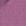 Fuchsia Fuchsia