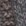 Grau/Beige Grau/Beige