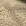 Beige Beige