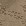 Beige Beige