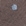 Beige Beige