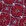Rot Rot