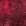 Merlot