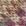 Camel Melange Camel Melange