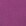 Fuchsia Fuchsia