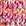 Pink gemustert Pink gemustert