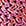 Pink Pink