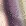 Brombeere Brombeere