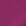 Fuchsia Fuchsia