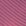 Fuchsia Fuchsia