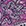 Grau/Cassis /Fuchsia Grau/Cassis /Fuchsia