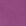 Fuchsia Fuchsia