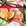 Rot/Pink Rot/Pink