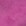 Pink Fuchsia Pink Fuchsia