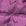 Fuchsia Fuchsia