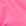 Fuchsia Fuchsia