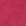 Fuchsia Fuchsia