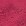 Fuchsia Fuchsia