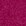 Fuchsia Fuchsia