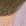 Khaki/Beige