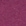 Fuchsia Fuchsia