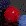 Blau/Rot Blau/Rot