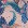 Blumen Blau Blumen Blau