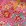 Blumen Pink Blumen Pink