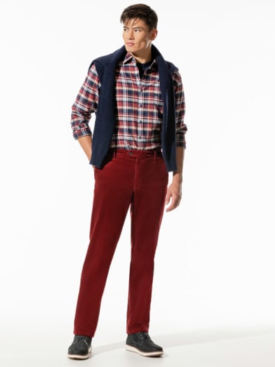 Thermo-Cord Chino Bordeaux