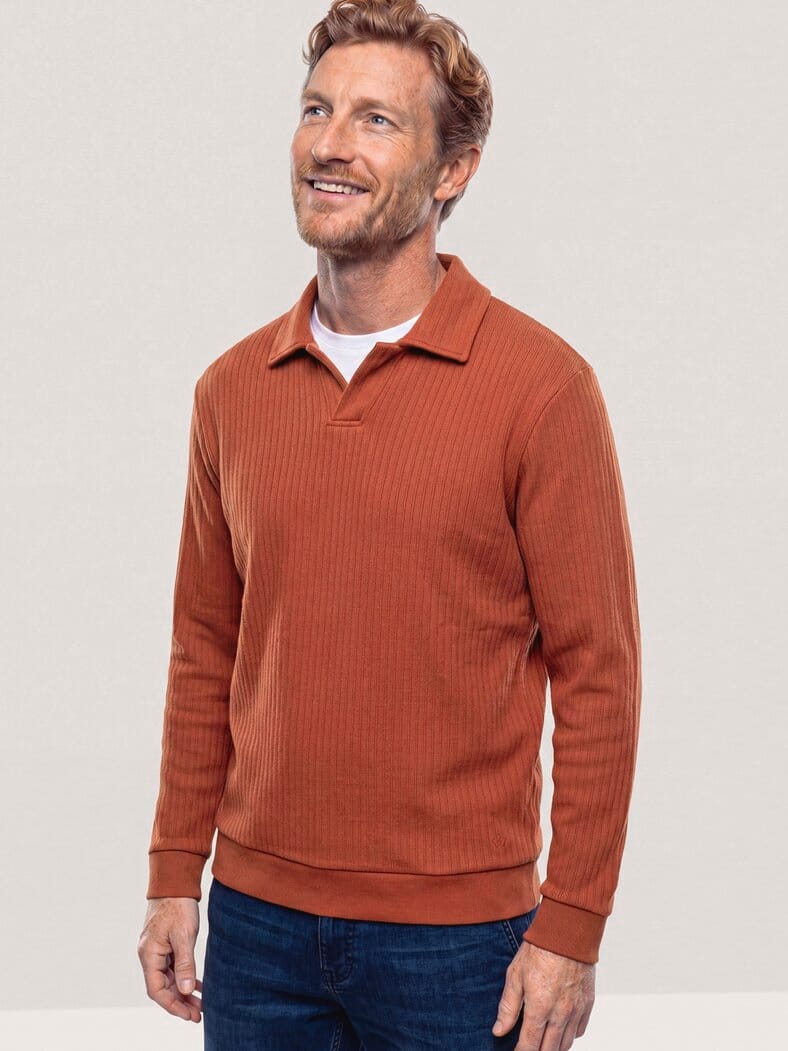 Sweatshirt mit Kragen Rotbraun