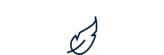 Icon von einer Feder